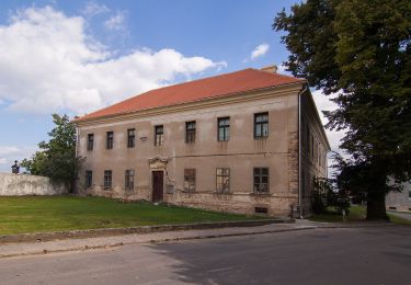 Percorso A piedi Chorušice - [M] Mělnická Vrutice - Zahájí - Photo