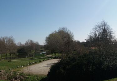 Randonnée Marche nordique Chaumes-en-Retz - la belle épine  - Photo