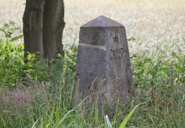 Tour Zu Fuß Nünchritz - Ww Floßkanalroute - Photo