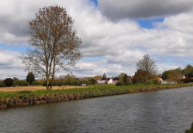 Excursión Senderismo Belœil - Le long du canal Ath-Blaton - Photo