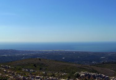 Tocht Te voet Vence - Plan des Noves - Photo