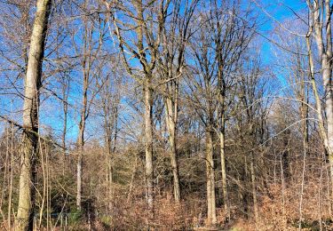 Tour Wandern Havelange - Marche ADEPS HAVELANGE  - Photo