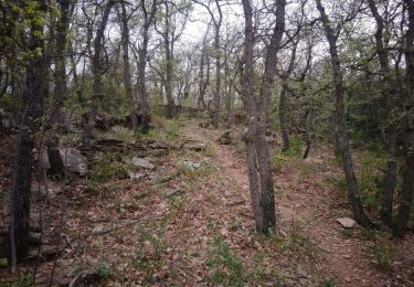 Excursión Senderismo Saint-Privat - Tour de Carlan  - Photo