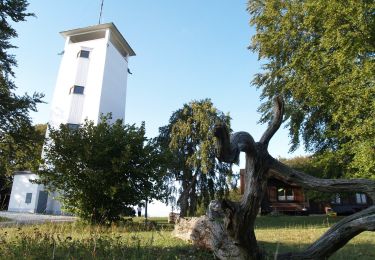 Tour Zu Fuß Gomadingen - Rundwanderweg Oberkochen Nr. 2 - Photo