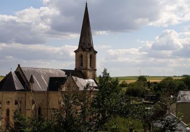 Trail Walking Cinais - MAINE ET LOIRE: CINAIS - Photo