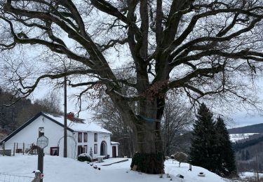 Randonnée Marche Stoumont -  Neucy , bergerie de la Lienne 13 Km - Photo