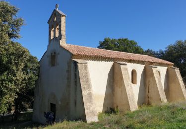 Trail Walking Peyrolles-en-Provence - peyrolles.canal - Photo