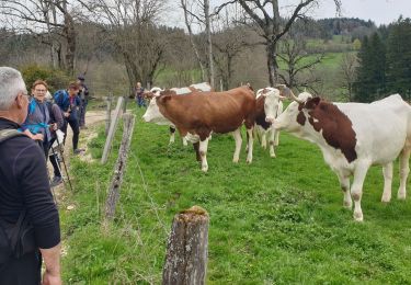 Trail Walking Villers-le-Lac - Saut du Doubs - Photo
