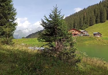 Excursión Senderismo Samoëns - 13-08-21 lac de Gers  - Photo