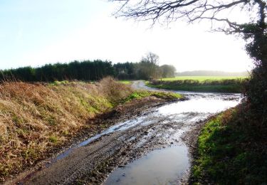 Tour Zu Fuß Winchester - Soberton and Newtown Millennium Walk - Photo