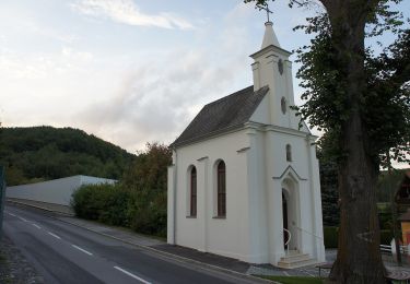 Tocht Te voet Gemeinde Draßmarkt - Karl bzw. Oberrabnitz - Fernblick Karl - Entenstein - Radigundenstein - Photo