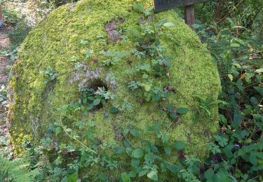 Tour Wandern Conques-en-Rouergue - Noailles plus  - Photo