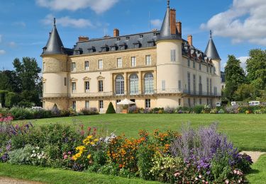 Tocht Stappen Rambouillet - Promenade ludique dans le Parc de Rambouillet  - Photo