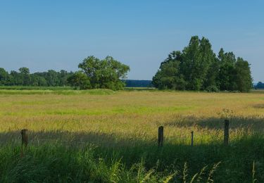 Tocht Te voet Wallenhorst - Hollager Rundwanderweg Nr.2 - Photo