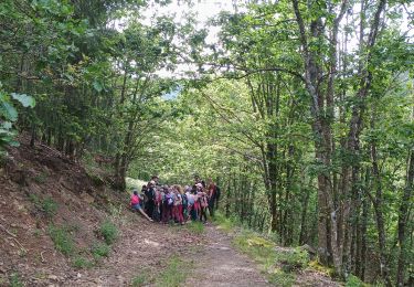 Tocht Stappen Wegscheid - Sortie école primaire - Rossberg - Photo