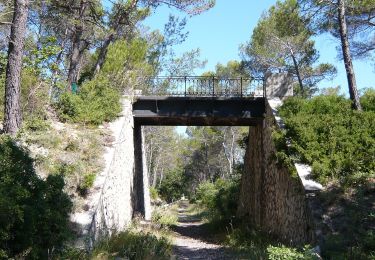 Tocht Te voet Gréasque - La forêt de Gréasque - Photo