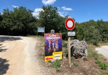 Trail Walking Méjannes-le-Clap - Camping Genèse, Grotte de la salamandre retour camping - Photo