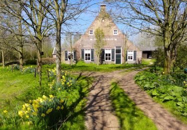 Tour Zu Fuß Steenwijkerland - WNW WaterReijk - Kadoelen - groene route - Photo