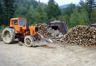 Randonnée A pied Bukowiec - Ścieżka przyrodnicza na Korbanię - Photo