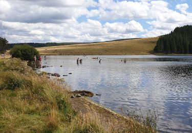 Tour Wandern Orcival - Hte Vallee du Sioulot_T - Photo