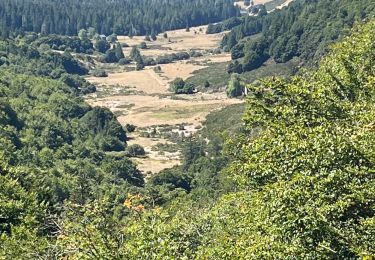 Trail Walking Val-d'Aigoual - PLO de VALBELLE  - Photo