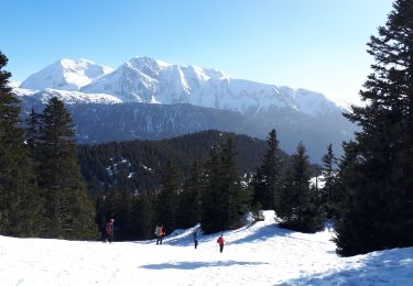Trail Snowshoes Vaulnaveys-le-Haut - Lac Achard, Col de l'Infernet, col de la Botte et Croix de Chamrousse en circuit - Photo