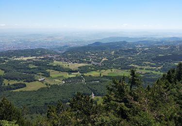 Trail Walking Orcines - Ceyssat,Puy de Dôme  - Photo