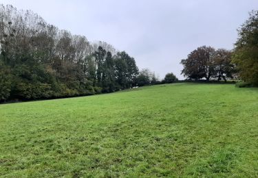 Randonnée Marche Lobbes - chèvres 1510 21 - Photo