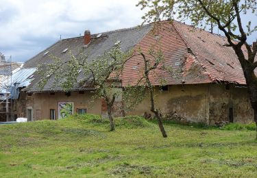 Tour Zu Fuß Dippoldiswalde - Schloss Naundorf - Pöbeltal - Photo