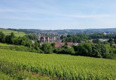 Trail Walking Château-Thierry - Château - Aulnois - Château du 26/05/2020 - Photo