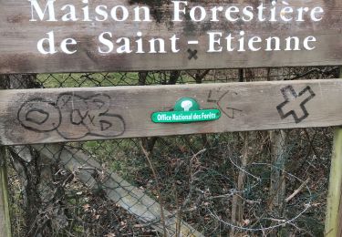 Trail Walking Saint-Étienne-du-Rouvray - Le Catelier St Étienne du Rouvray - Photo