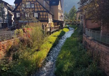 Excursión Senderismo Schramberg - Schramberg - Châteaux de Falkenstein et de Hohenschramberg - Photo