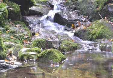 Percorso Marcia Ceyrat - Ceyrat_Gorges_Artiere - Photo