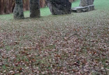 Randonnée Marche Durbuy - wéris - Photo