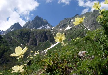 Percorso A piedi Gurtnellen - Leutschachhütte SAC Hüttenweg - Photo