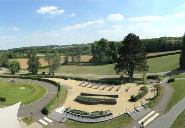 Tocht Te voet Lubbeek - Koebos Rode driehoek - Photo