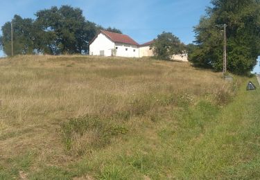 Tour Wandern Arthez-d'Armagnac - arthez d'Armagnac, circuit d'ognias - Photo