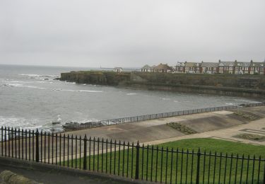 Tour Zu Fuß North Tyneside - Stride out walk - Photo