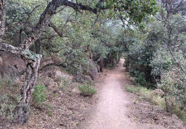 Trail Walking Tossa de Mar - Wikiloc - GR 92- Catalunya - J2 - Tossa de Mar - Sant Feliu de Guixols - Photo