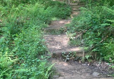 Trail Walking Baztan - 2024/05/28 Elizondo départ Parking - Photo