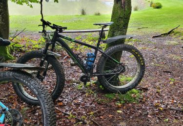 Trail Electric bike Mertzen - sortie vtt 3 puissances - Photo