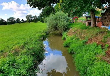 Randonnée A pied Lonnerstadt - Rundweg Lonnerstadt L2 - Photo