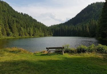 Randonnée A pied Sankt Lambrecht - Wanderweg Nr. 14 - Photo