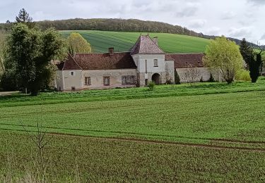 Percorso Marcia Bucey-en-Othe - Bucey en Othe - Photo