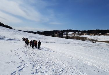 Trail Walking Prémanon - B Jura - journée du mercredi 22-01-2020 - Lamoura / Forêt du Massacre - Photo