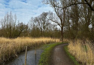 Trail Walking Antwerp - Le polder de Hoboken - Photo