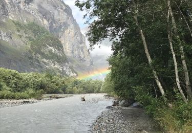 Trail On foot Kandersteg - Waldhaus - Pletschenweidli - Photo