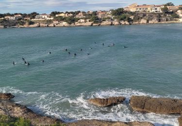 Tour Wandern Martigues - Rando Dominicale  - Photo