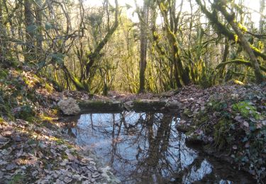 Randonnée Marche Premeaux-Prissey - Prémeaux-Prissey Combe Saumaise, source de Fontenoie - Photo