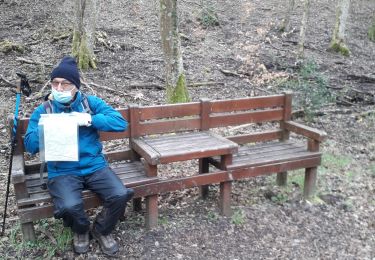 Tour Wandern La Londe - La londe 12,3km - Photo